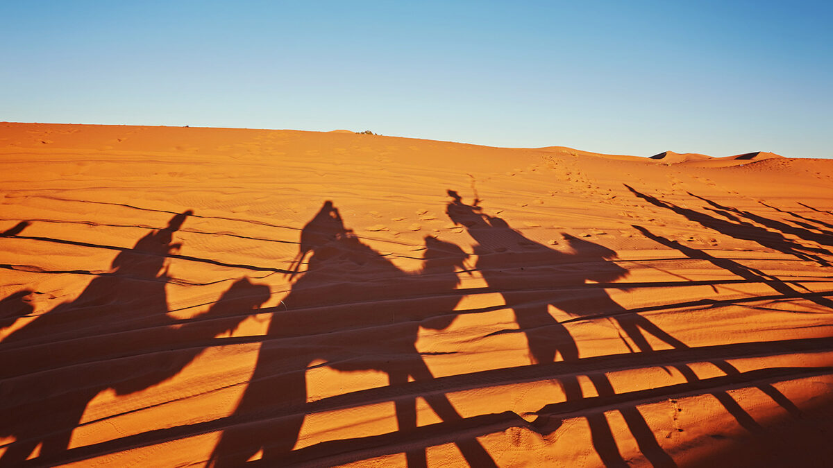 How Much Is The Desert Safari in Dubai?